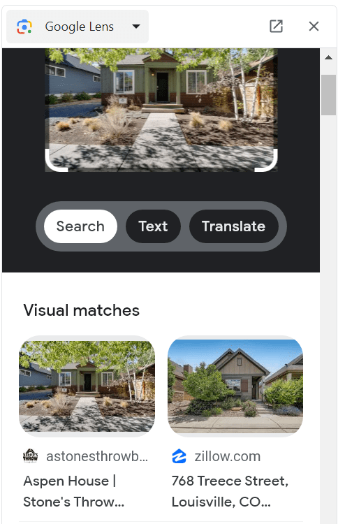 Google Lens Image Search Results