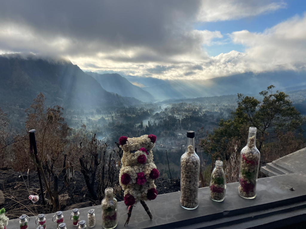 Mount Bromo Valley