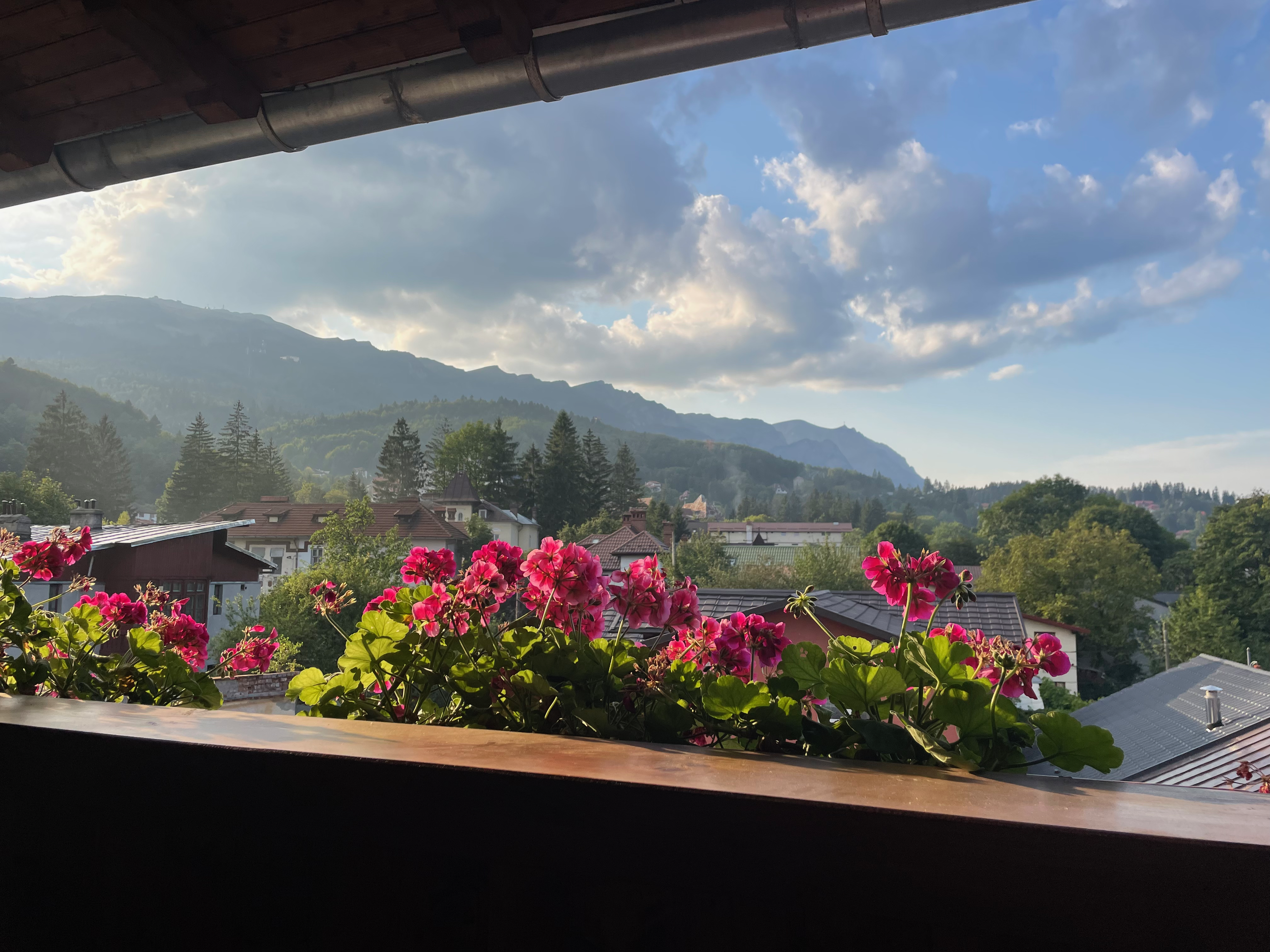 Brașov and Sinaia: The Best Four Day Transylvania Itinerary