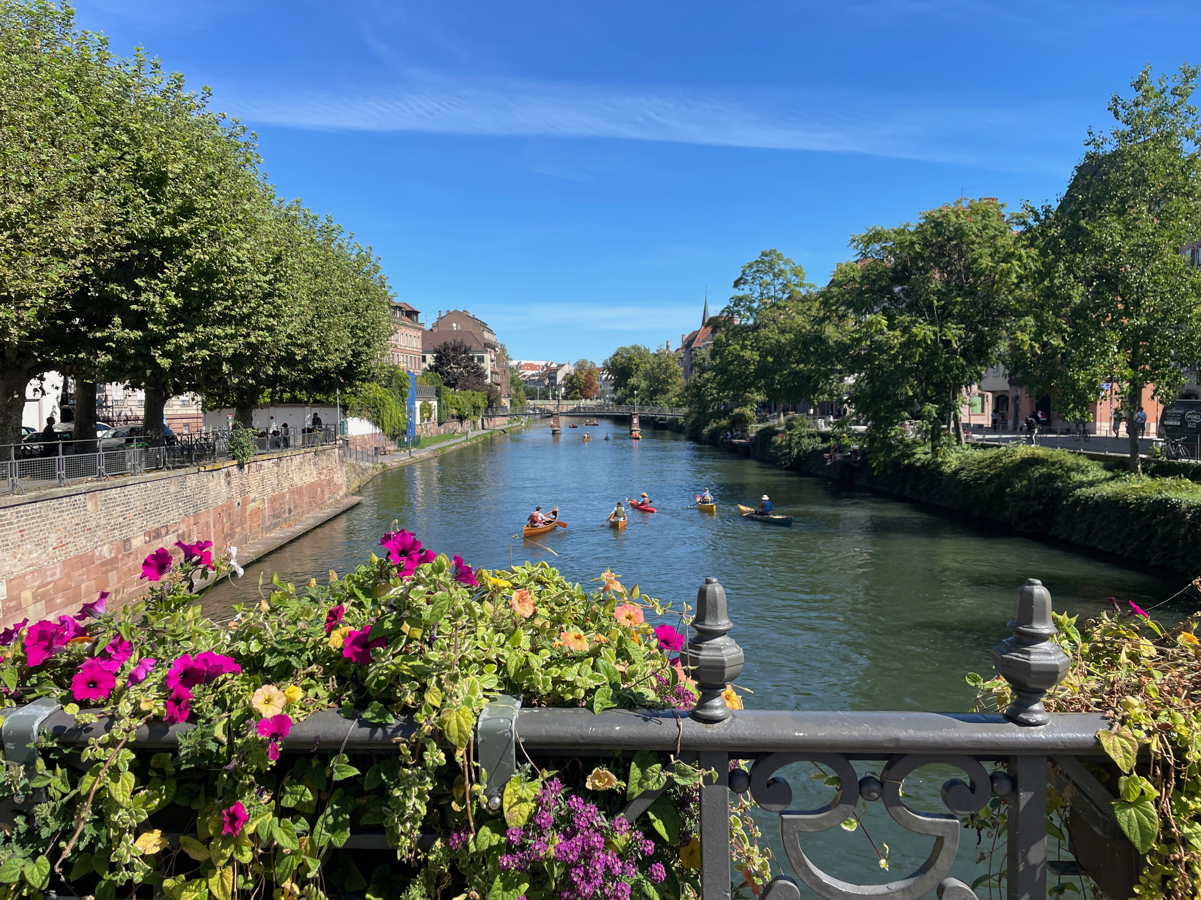 Where France Meets Germany: The Best Things to Do in Strasbourg