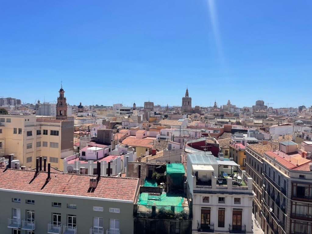 view from Torres de Serranos 