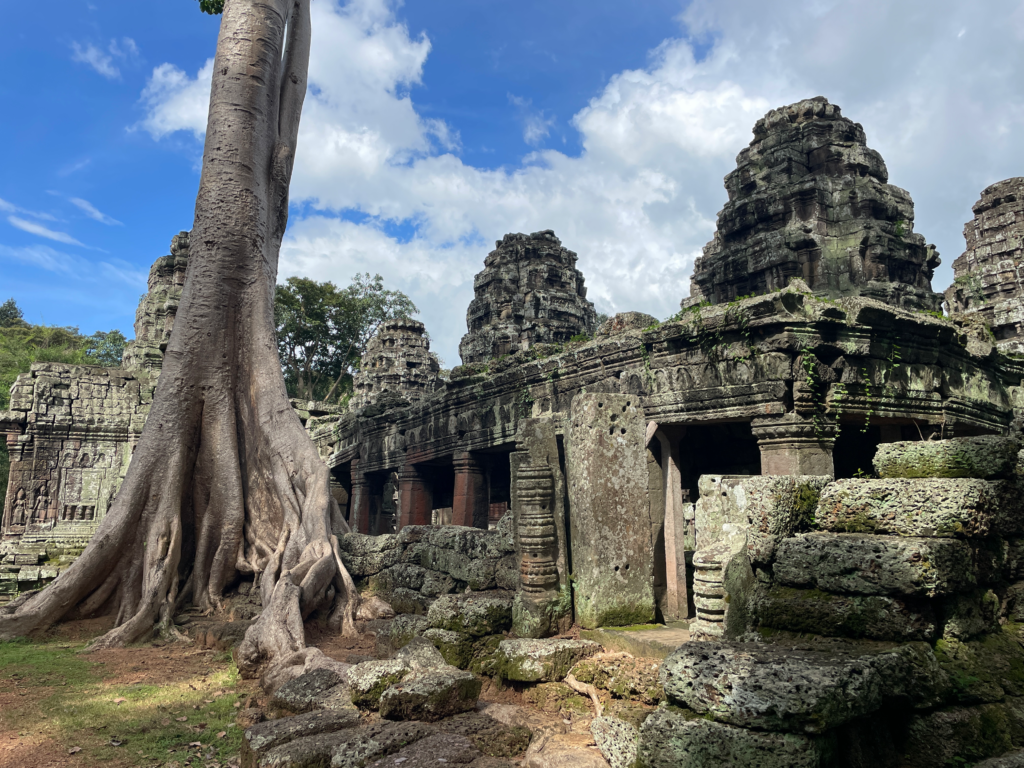 Angkor Wat Banteay Kdei Tree