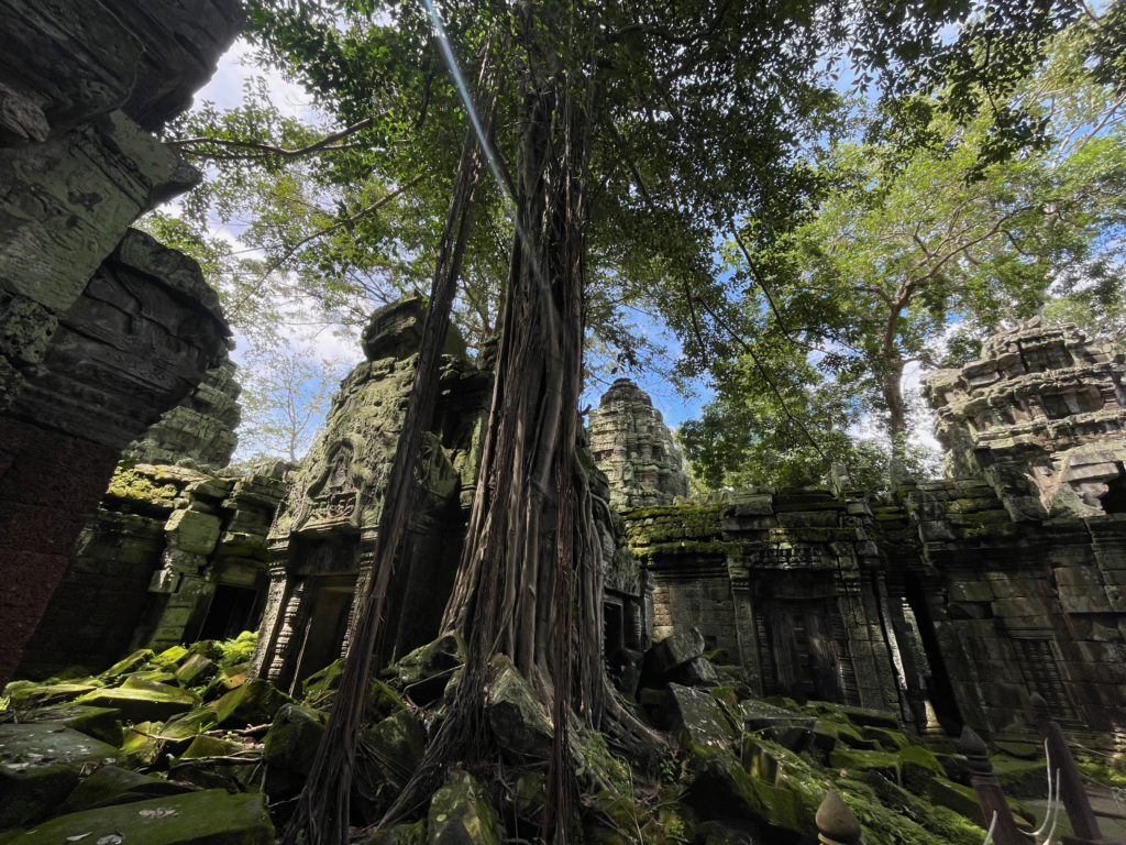 Angkor Wat Ta Prohm