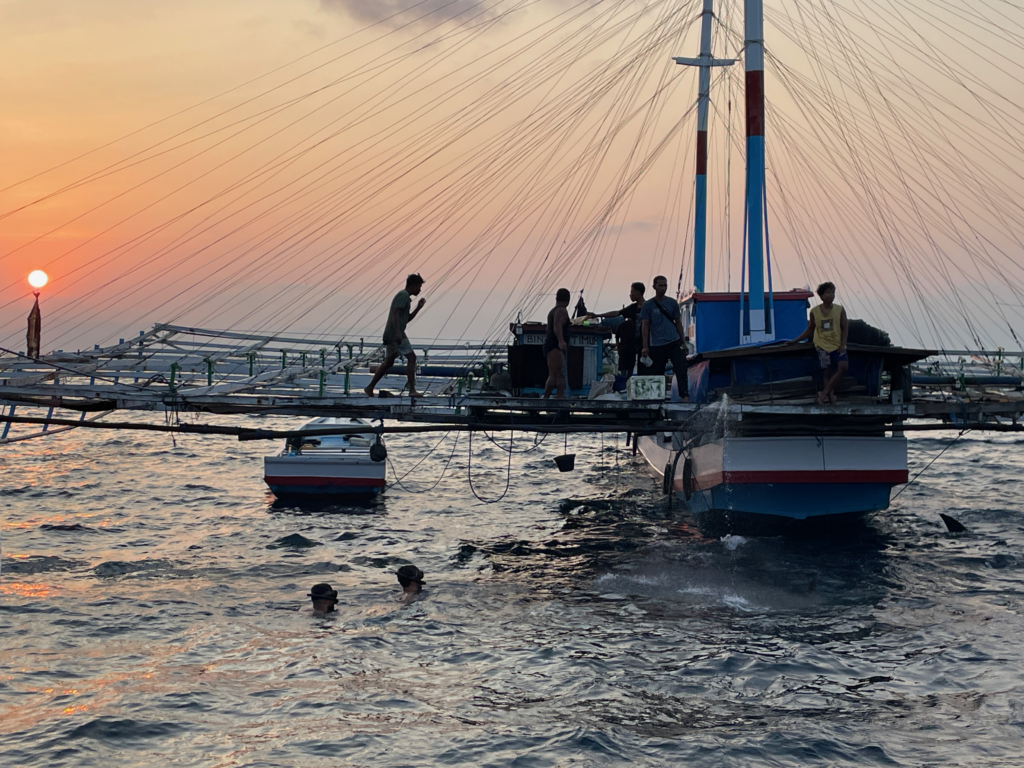 Wanua-Whale-Shark-Sunrise