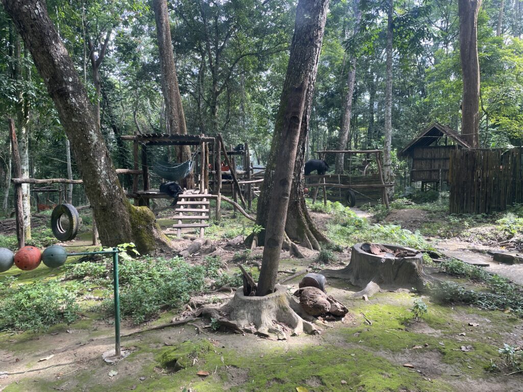 Bear Sanctuary Kuang Si