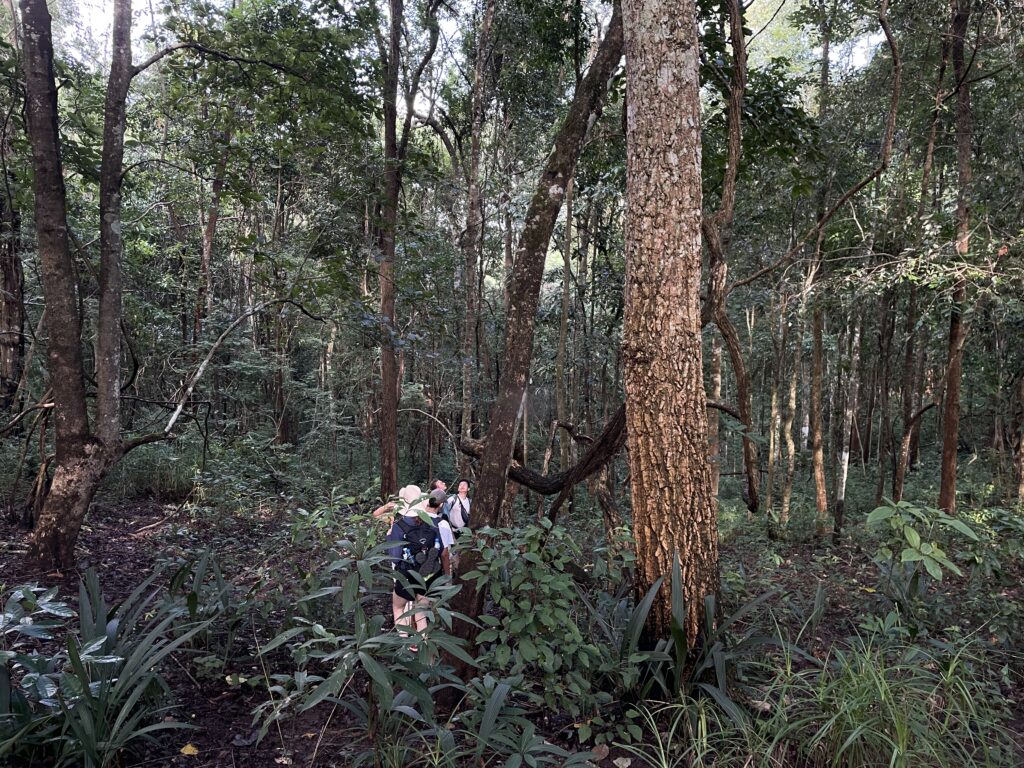 Chiang Mai Jungle Trek