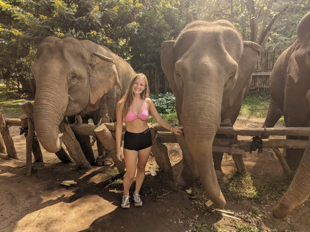 Chiang Mai Jungle Trek Elephant Sanctuary