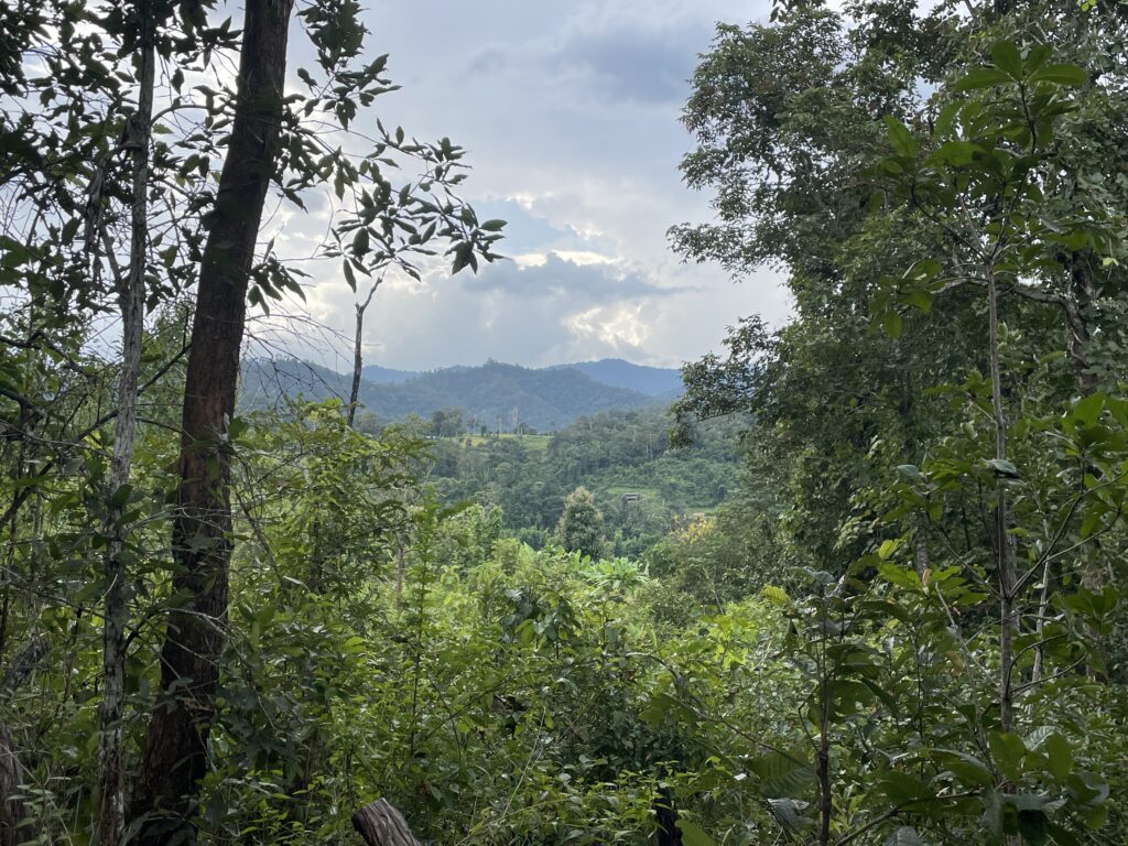 Chiang Mai Jungle Trek