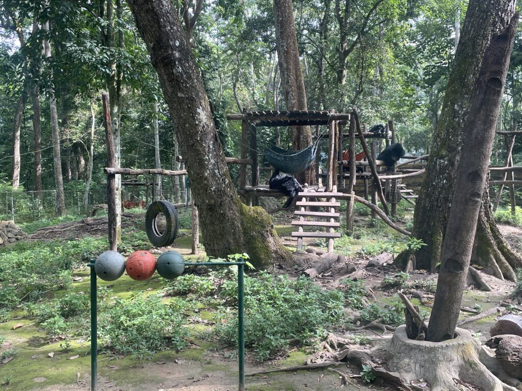 Kuang Si Bear Rescue Center