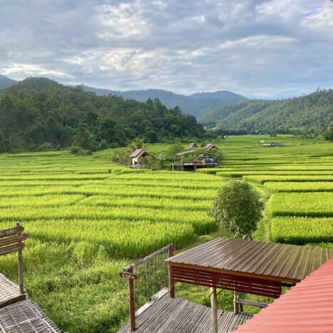 The Ultimate Guide to the Chiang Mai Jungle Trek