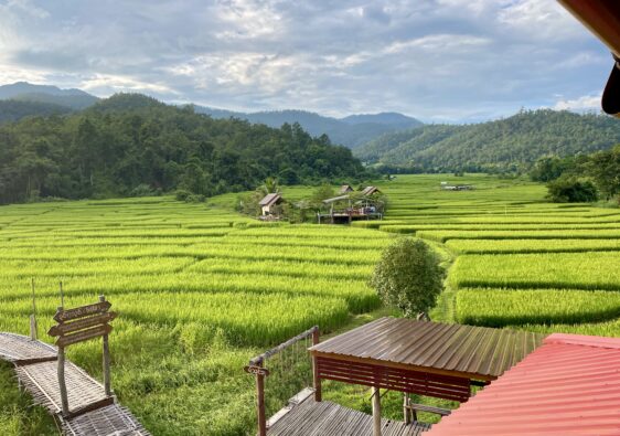 Best Things to do in Pai