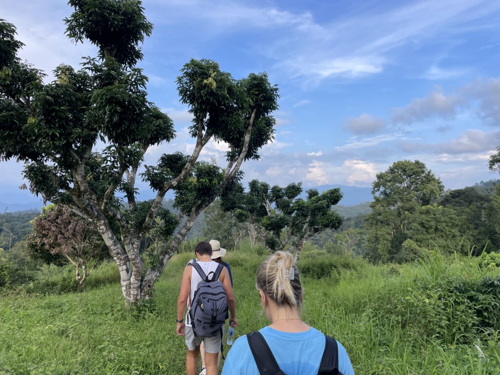 Chiang Mai Jungle Trek