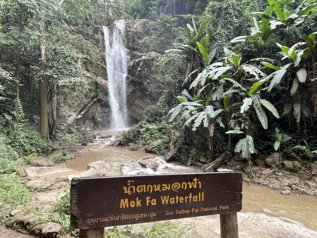 Chiang Mai Jungle Trek Waterfall