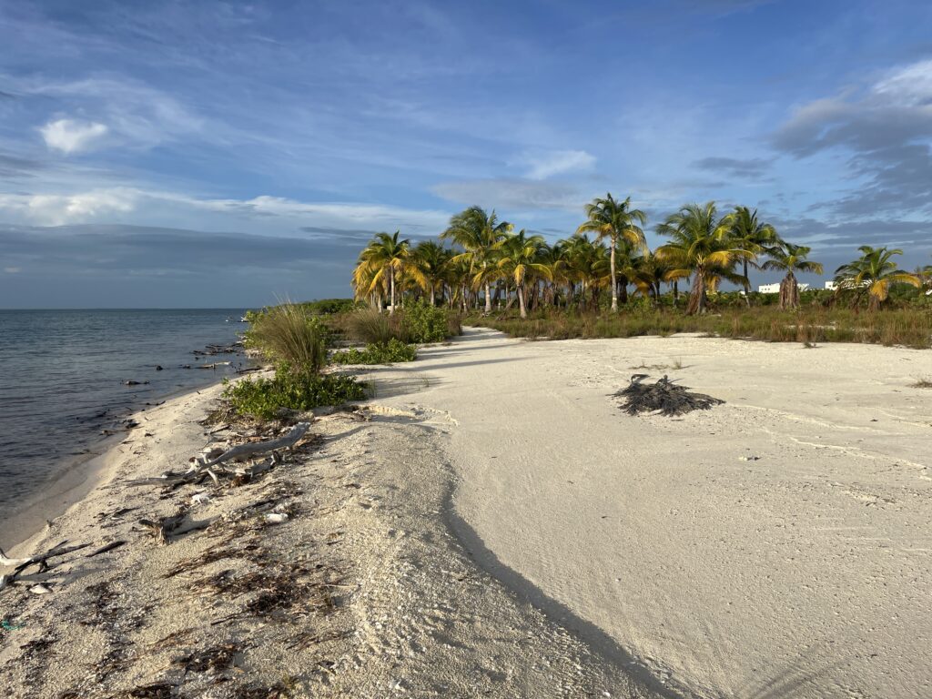 Caye Caulker North Island