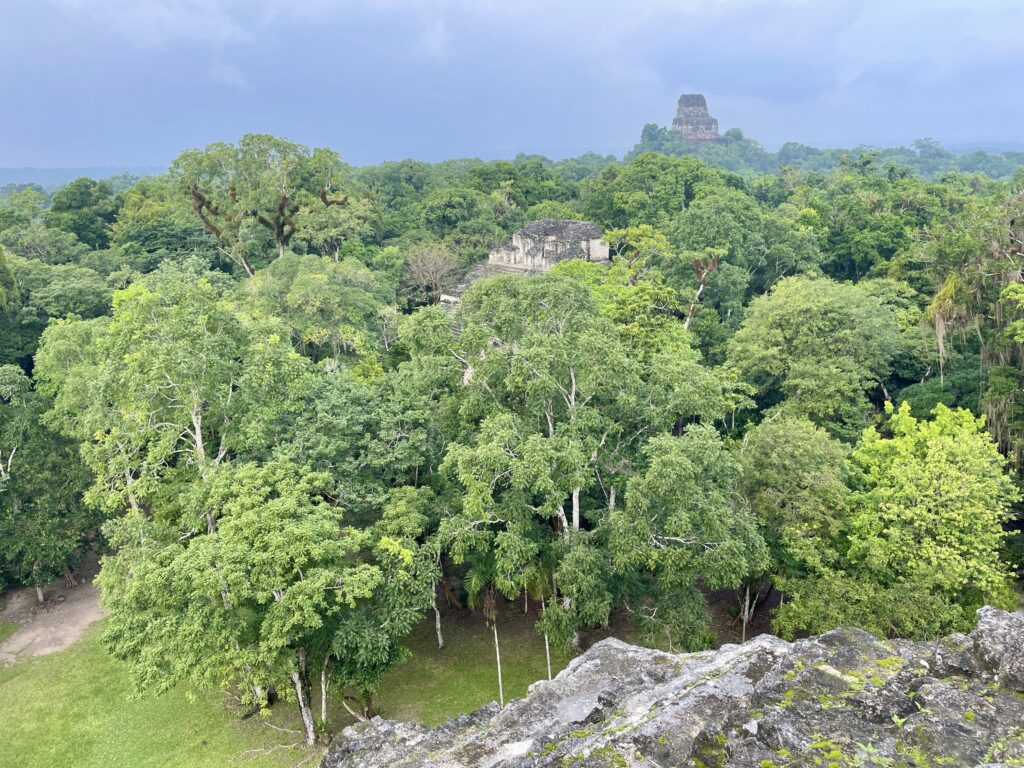 Lost World Temple Tikal