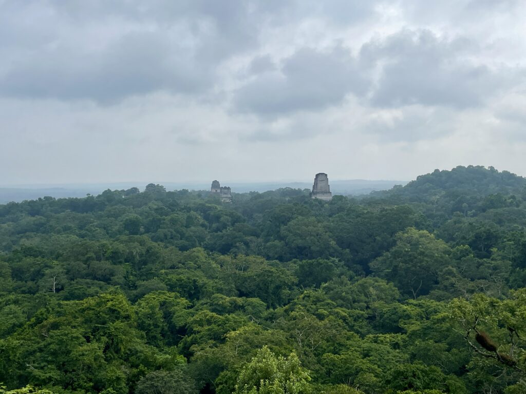 Tikal Mayan Ruins Guatemala