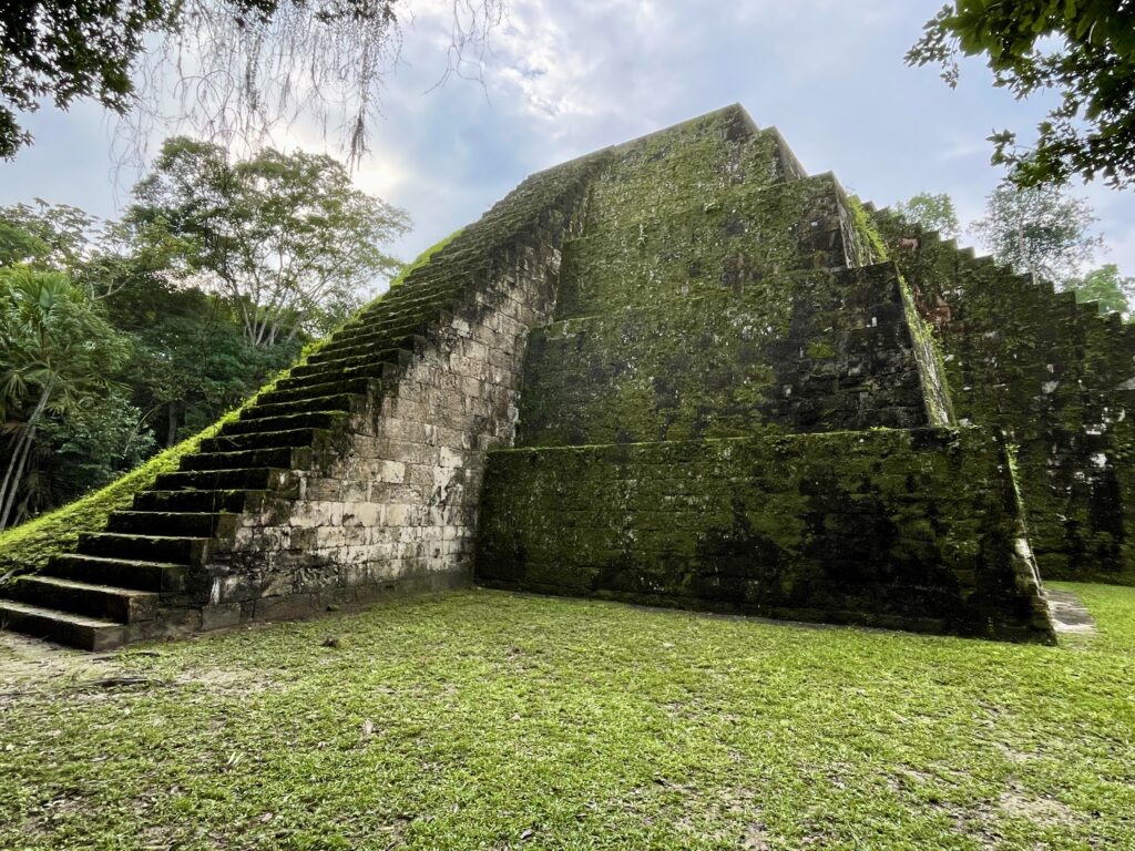 Tikal-Flores-Guatemala