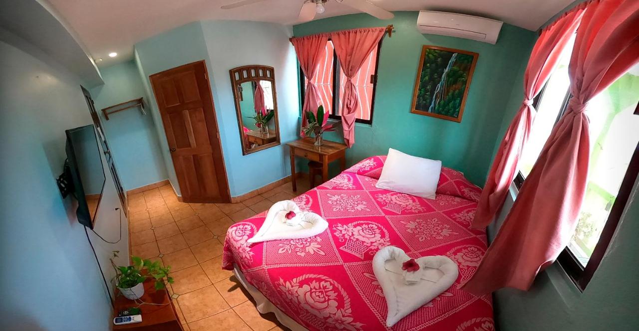 Where to Stay in San Ignacio Venus Hotel