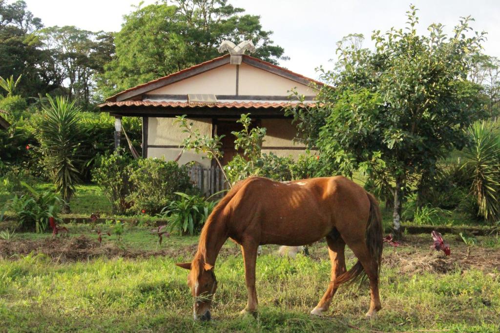 Where to Stay in Miraflor: Finca Lindos Ojos