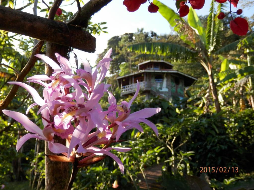 Where to Stay in Miraflor: Finca Neblina del Bosque