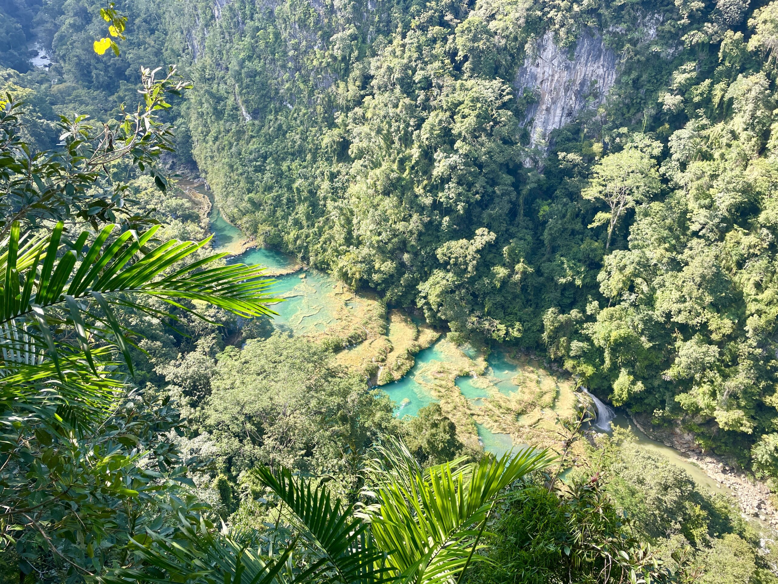 Complete Guide to Semuc Champey: Everything You Need To Know Before You Go