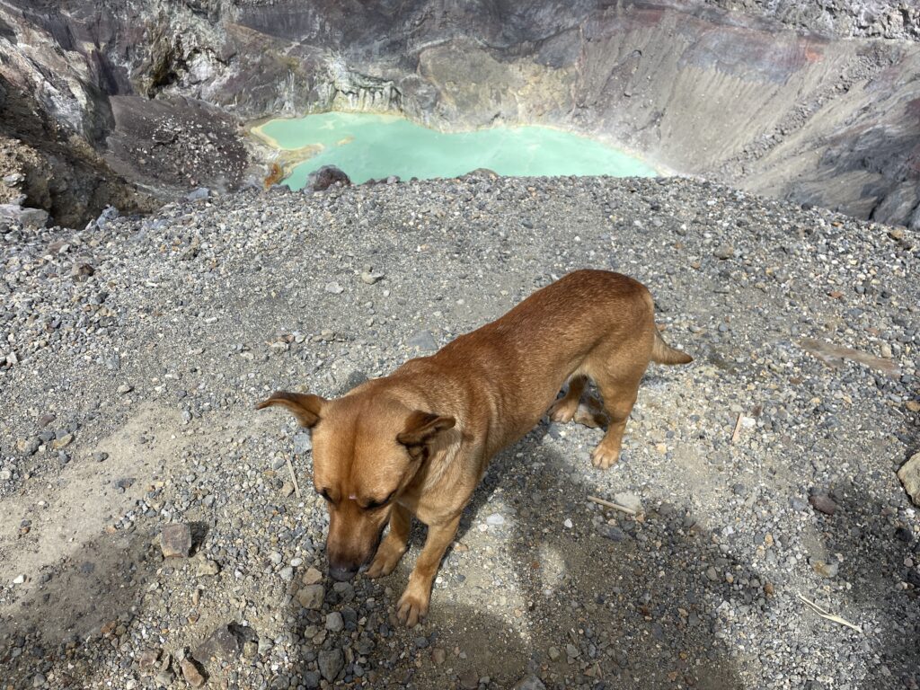 Santa Ana Volcano Hike