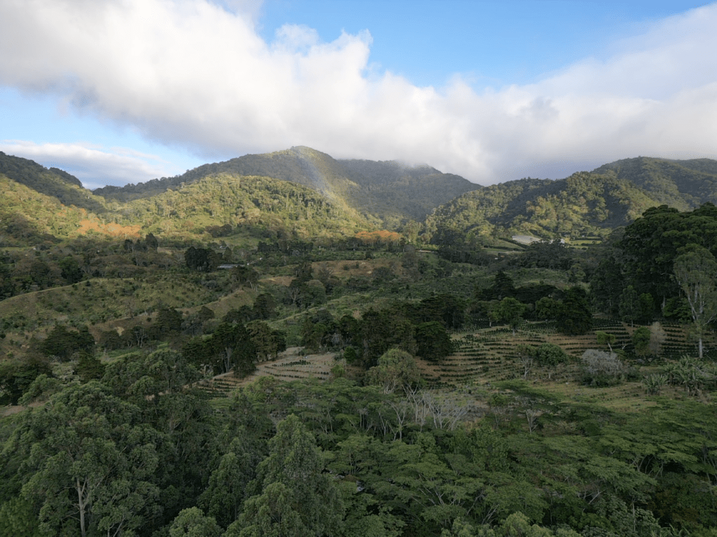 things to do in Boquete Panama