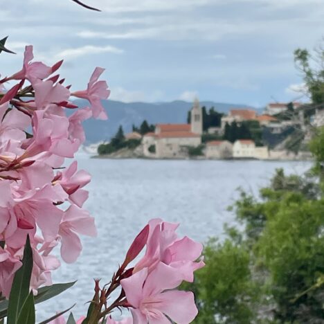 Budva: Montenegro’s Coastal Gem