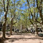 What to do in Montevideo, Uruguay