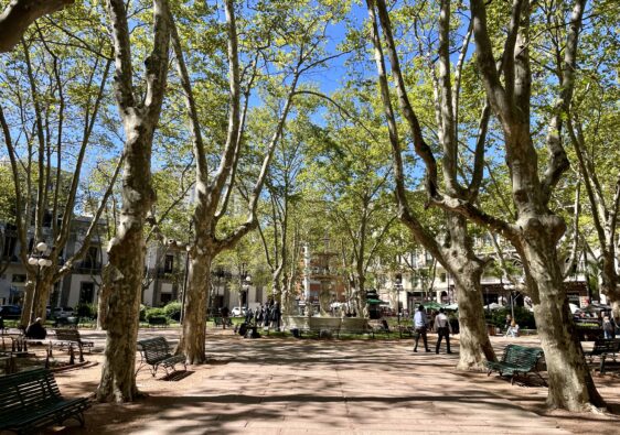 What to do in Montevideo, Uruguay