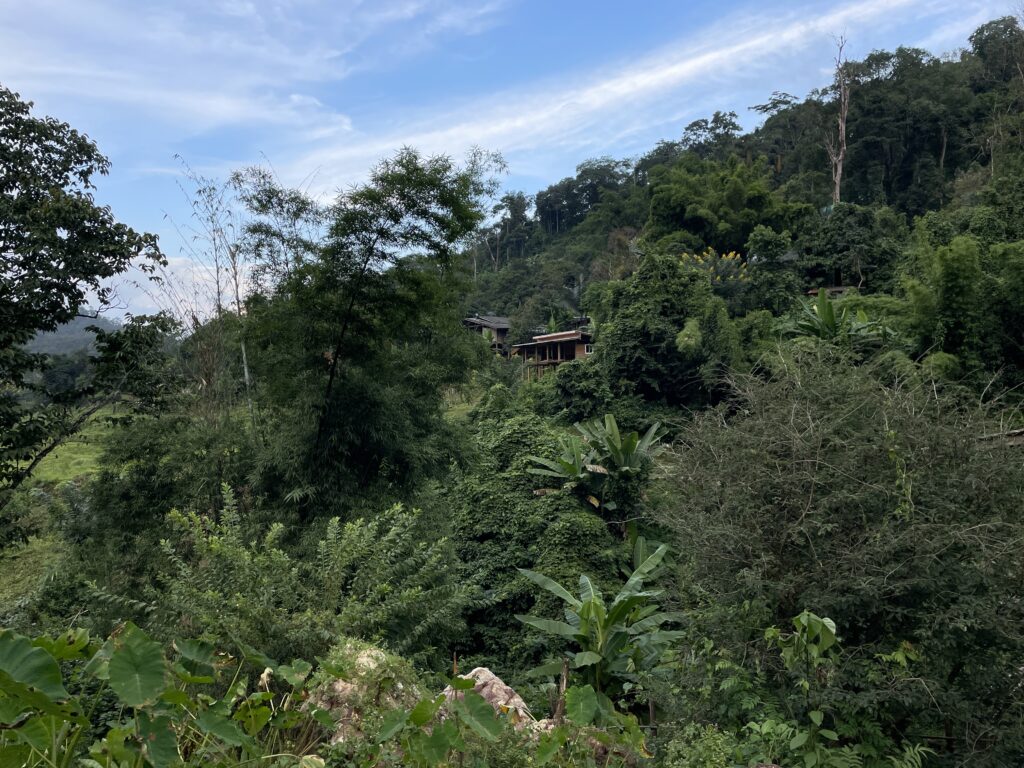 Best time of year for trekking in Northern Thailand