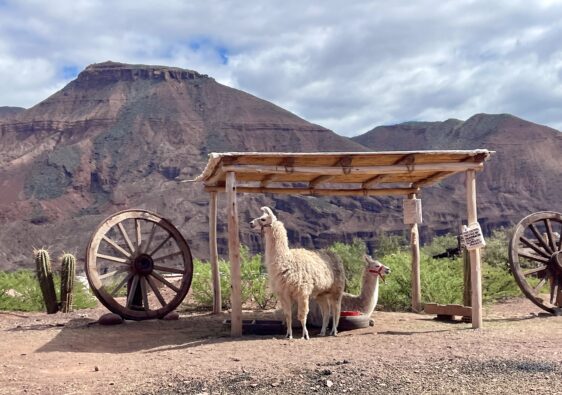 Everything you need to know about visiting Cafayate Argentina