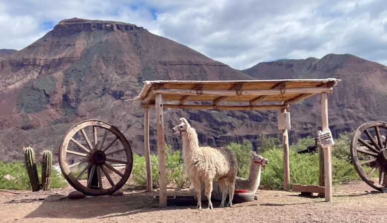 Everything you need to know about visiting Cafayate Argentina