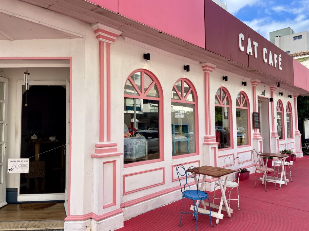 Cat Cafe Punta del Este