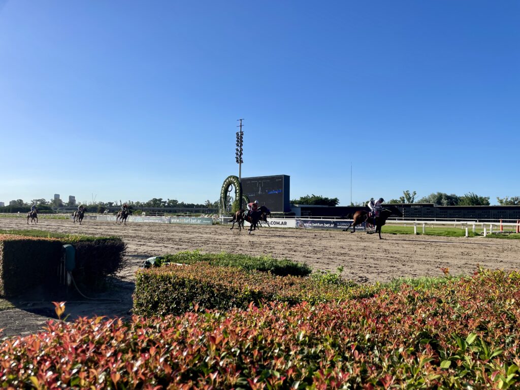 Horse Racing Buenos Aires