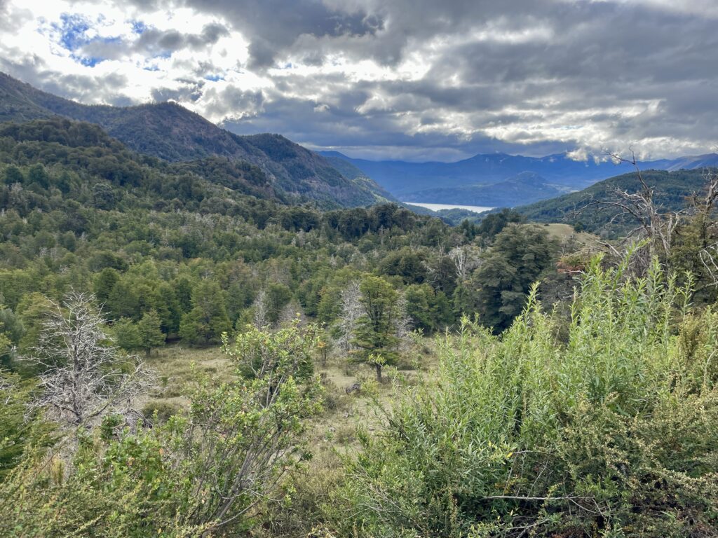 Pil Pil 7 Lakes Drive Bariloche
