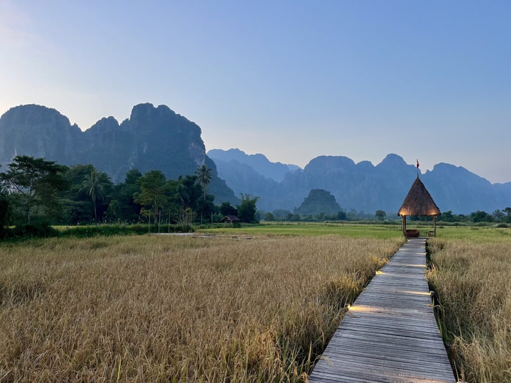 Vieng Tara Rice Fields Vang Vieng Things to Do