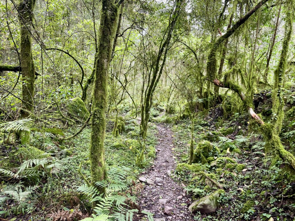 Where to Hike in Salta: Quebrado San Lorenzo