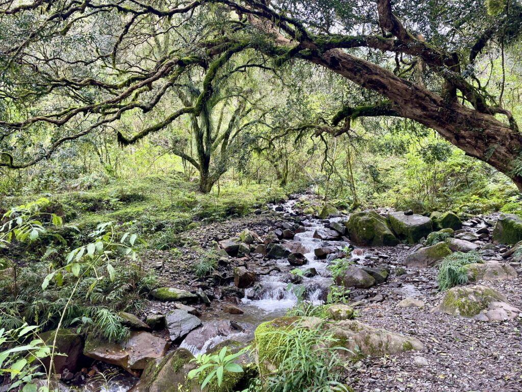 Quebrado San Lorenzo Salta Argentina