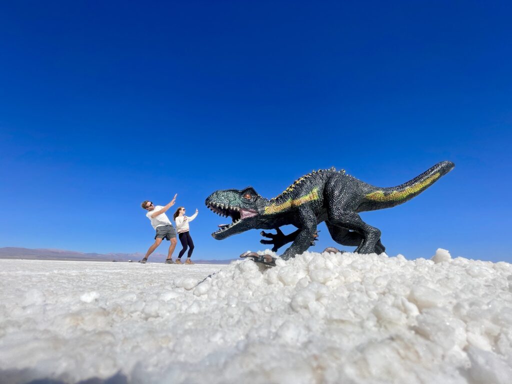 Fun Pictures at Salinas Grandes in Argentina