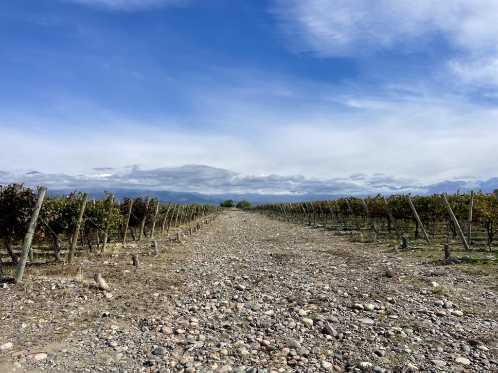 Best Wine in Mendoza: Uco Valley