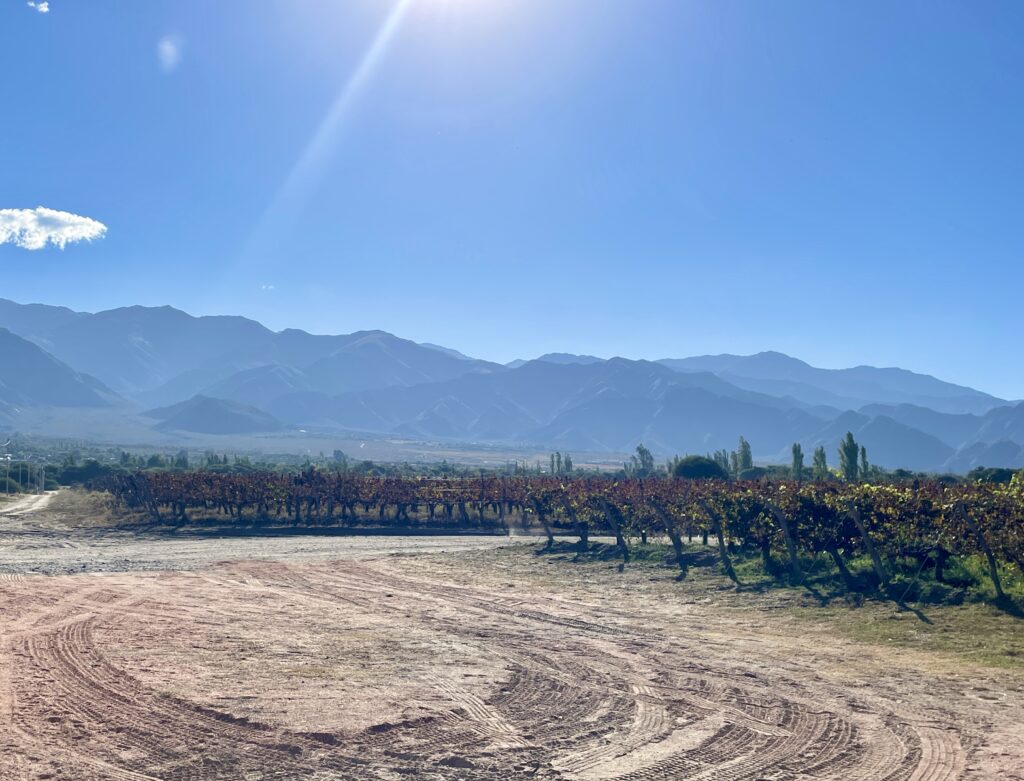 Best Wineries to Visit Cafayate